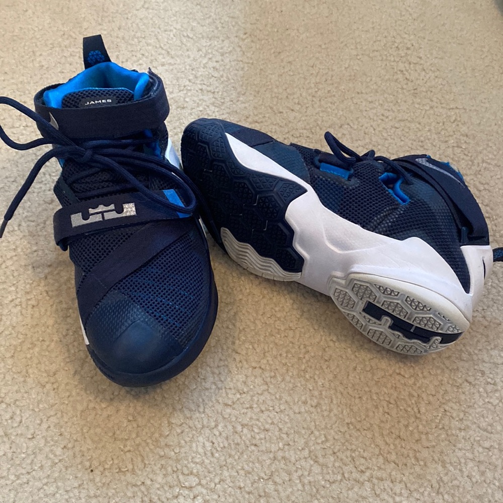 Lebron basketball shoes